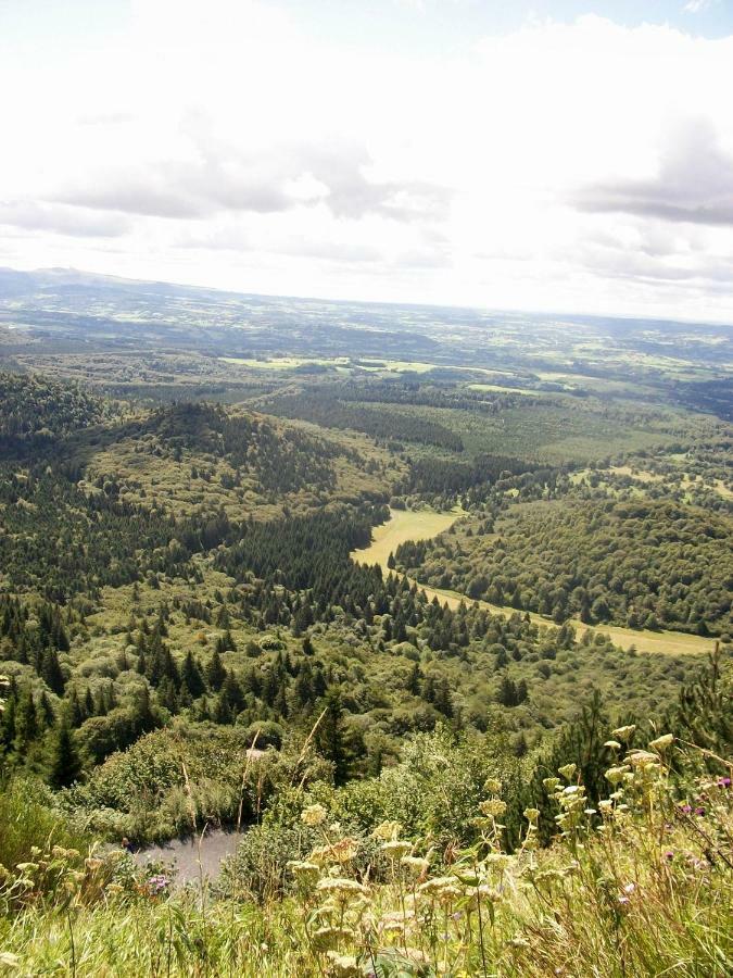 Domaine Des Lilas Saint-Germain-Lembron Εξωτερικό φωτογραφία